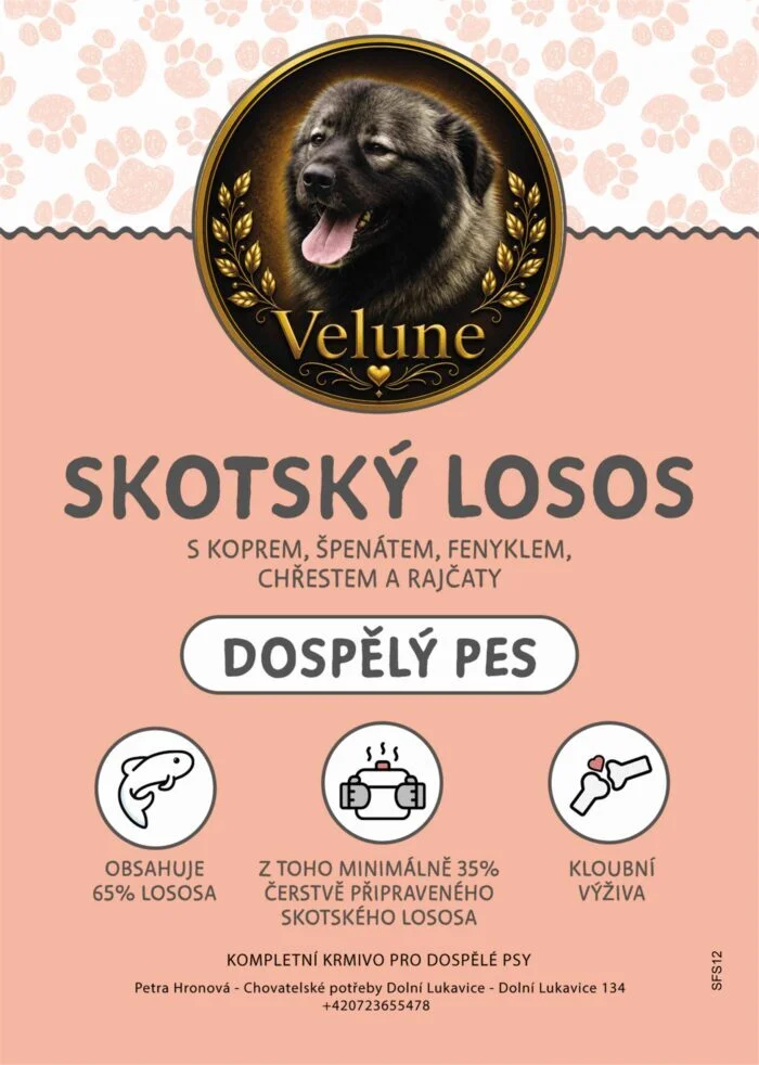 Skotský Losos s koprem, špenátem, fenyklem, chřestem a rajčaty 12kg